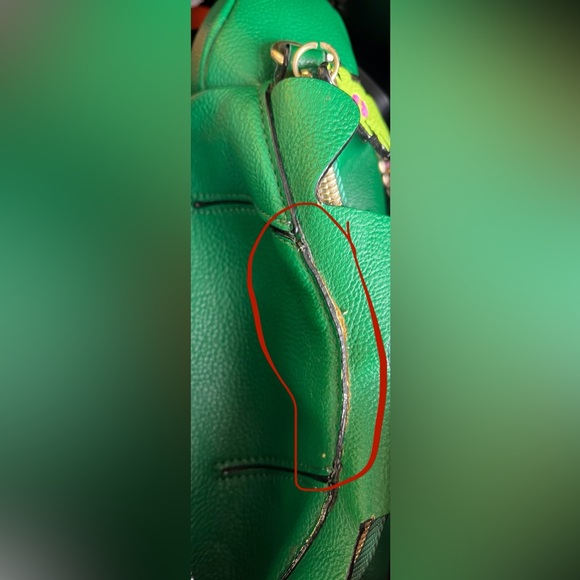 Betsey Johnson Purse ‘Betseysaurus Rex’
Stegosaurus Dinosaur Green Crossbody Bag - Picture 15 of 16